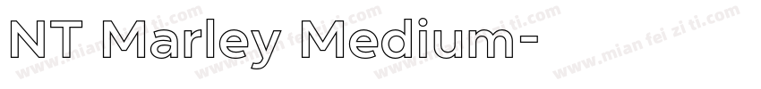 NT Marley Medium字体转换
